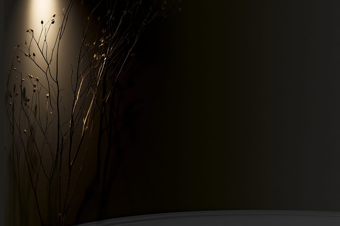 Dried branches lit softly against a dark wall